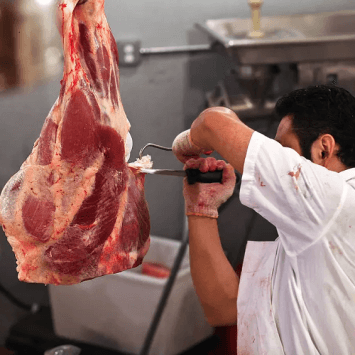 Curso de Açougueiro 