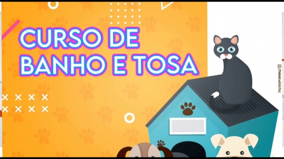 Curso Banho e Tosa em Goiania